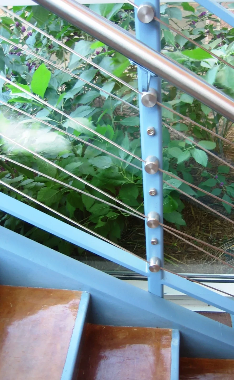 Close-up of blue cable railing detail with garden beyond